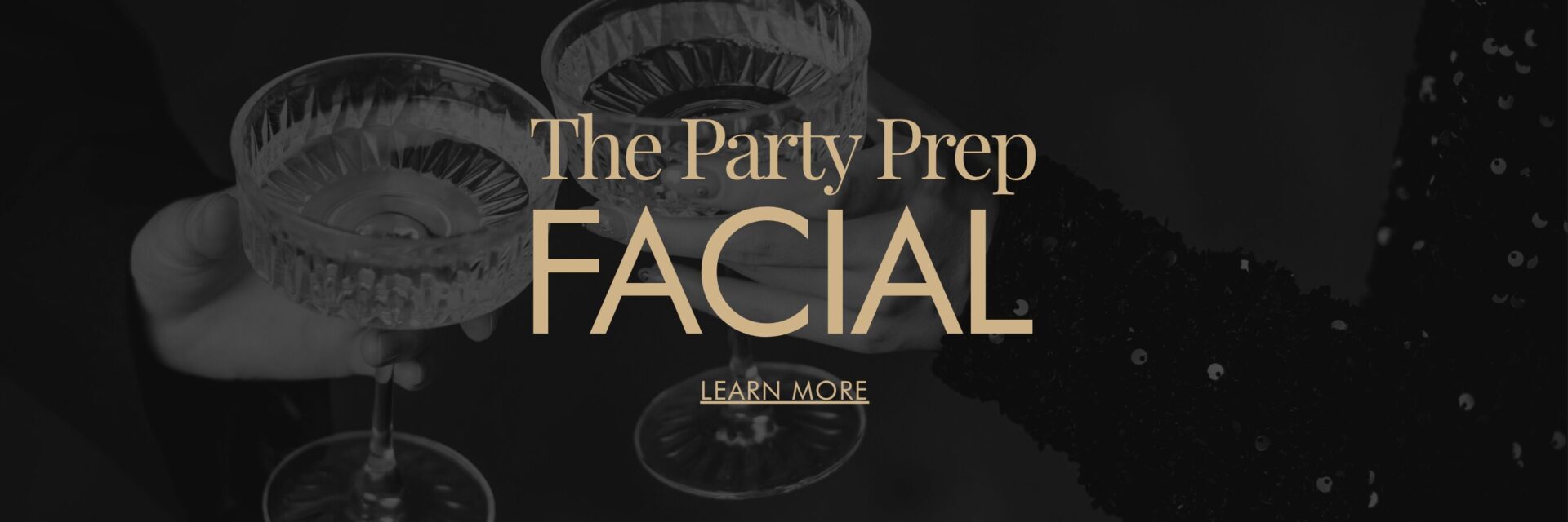 Party Prep Facial Website Banner